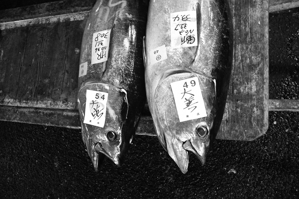 Tuna, Tokyo, 2009