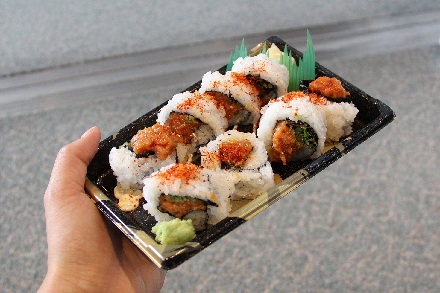 Sushi Kyoatsu | Narita, Japan