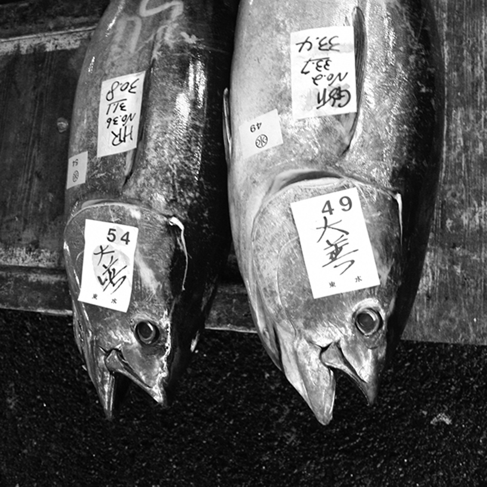 Tsukiji Fish Market | Tokyo, Japan