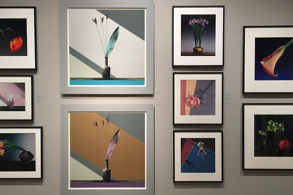 Mapplethorpe's Flower Series At Los Angeles County Museum Of Art | Los Angeles, California