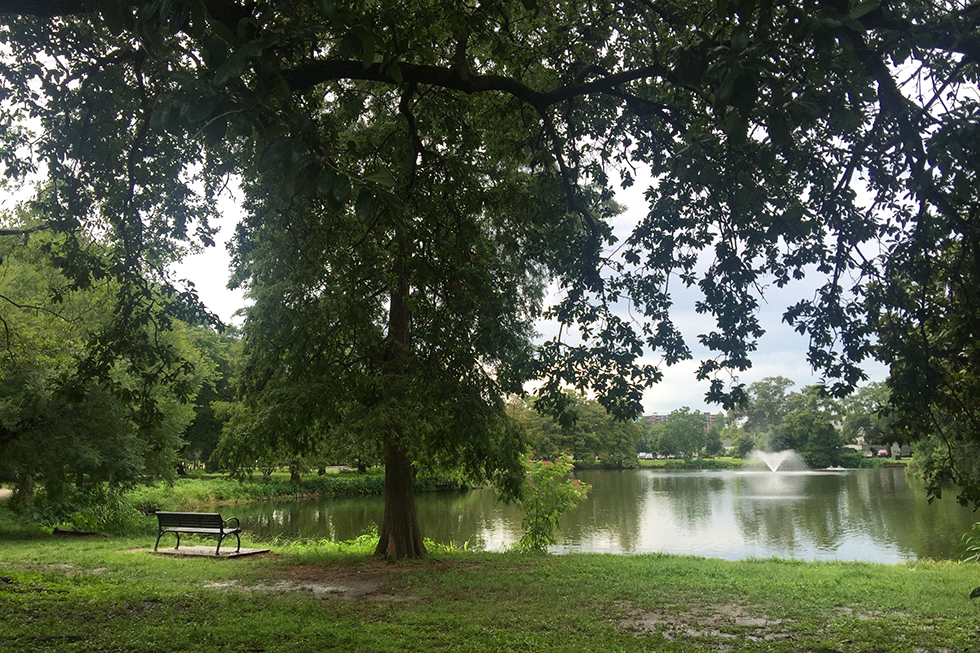 Audubon Park | New Orleans, Louisiana
