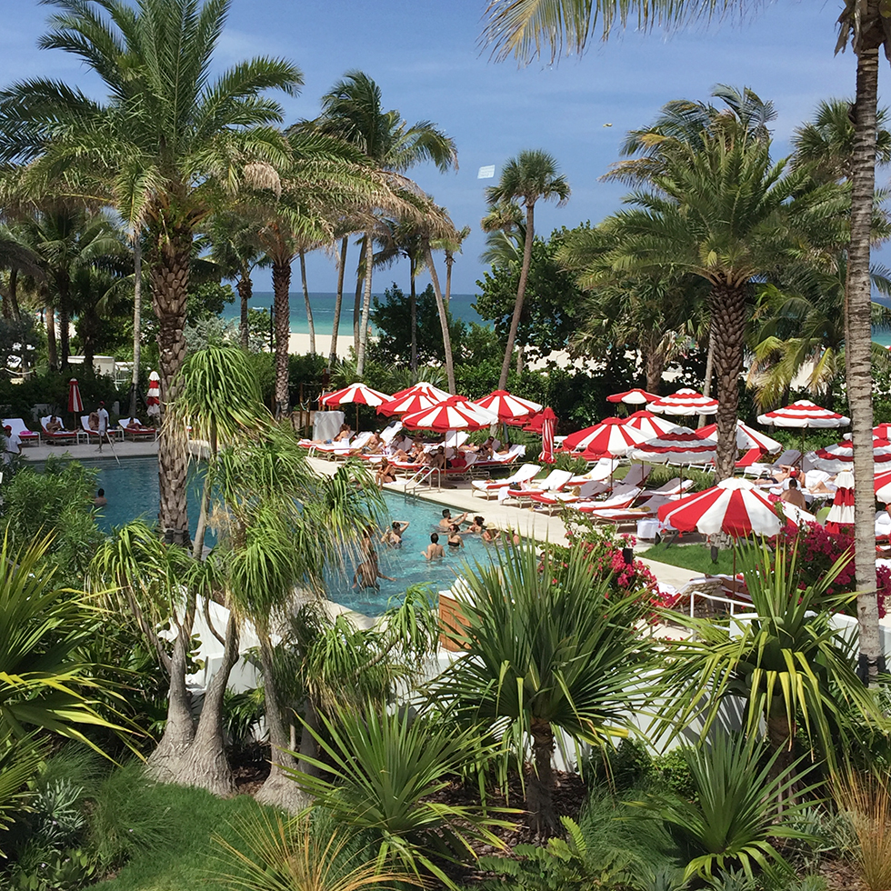Lush pool scene of Faena Hotel | Miami, Florida