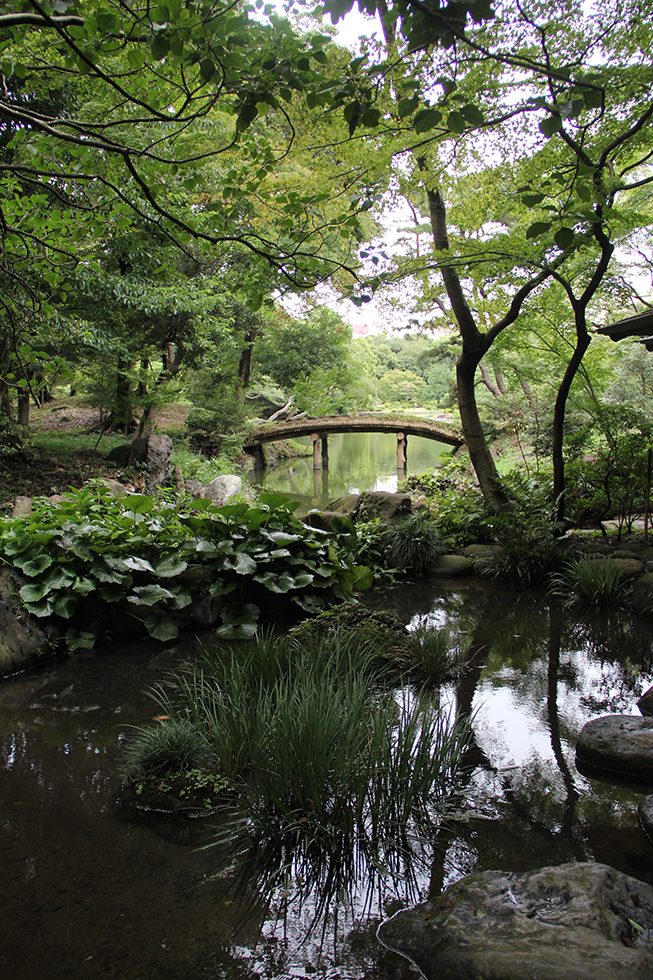 A Morning Stroll through Rikugien | Tokyo, Japan