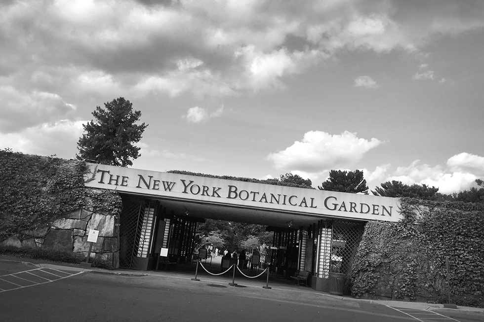 Stroll through The New York Botanical Garden | The Bronx, New York