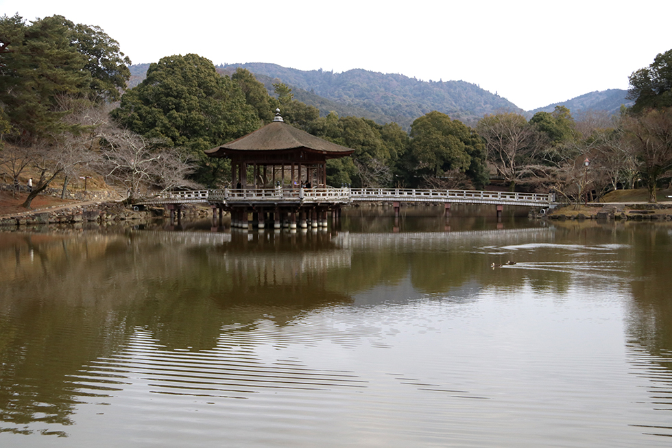 Peace and Quiet at Ukimido Pavilion | Nara, Japan